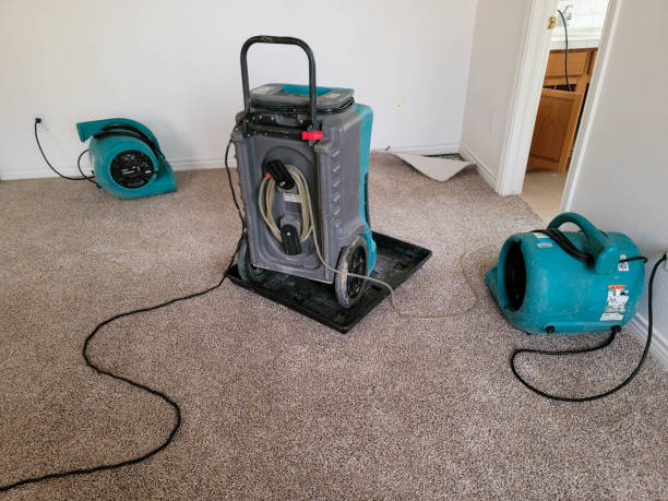 Best Emergency water damage restoration  in Bonney Lake, WA