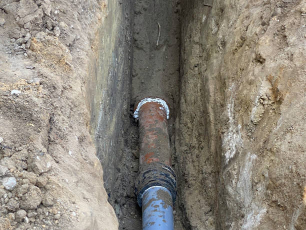 Best Sewage cleanup and water damage restoration  in Bonney Lake, WA