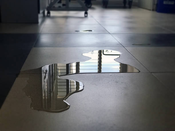 Best Water damage restoration company  in Bonney Lake, WA