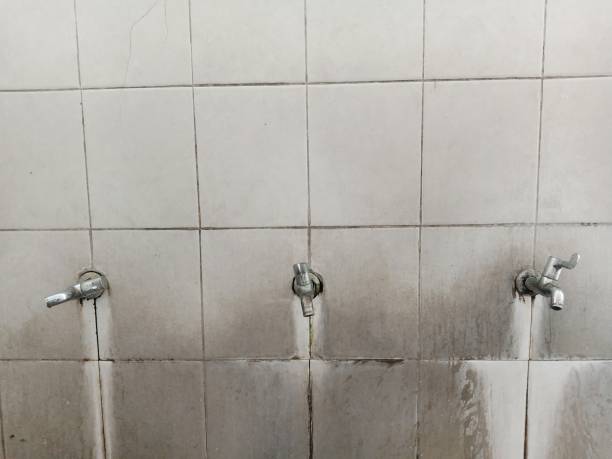 Best 24/7 water damage repair  in Bonney Lake, WA