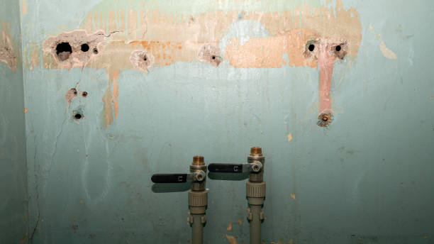 Best Sewage cleanup and water damage restoration  in Bonney Lake, WA