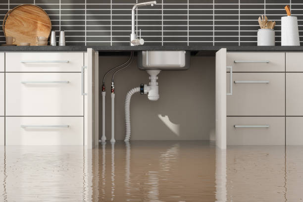Best Flood damage cleanup  in Bonney Lake, WA