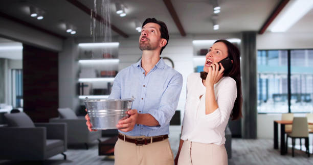 Best Mold removal after water damage  in Bonney Lake, WA