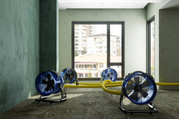 Best 24/7 water damage repair  in Bonney Lake, WA