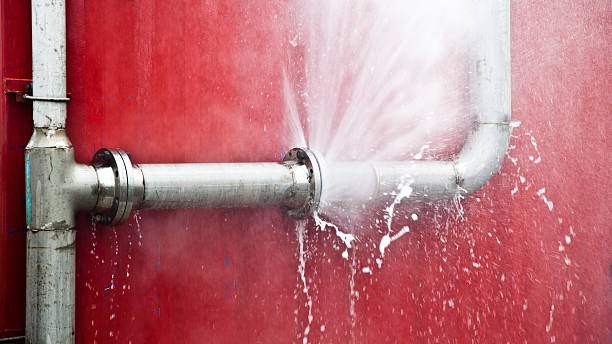Best Flood restoration services  in Bonney Lake, WA